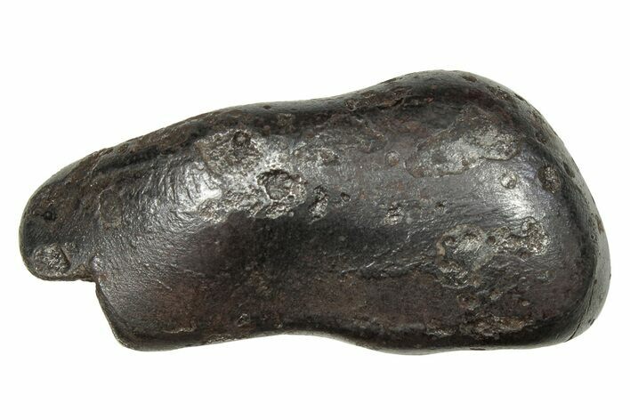 Fusion Crusted Sikhote-Alin Iron Meteorite ( g) - Russia #246935